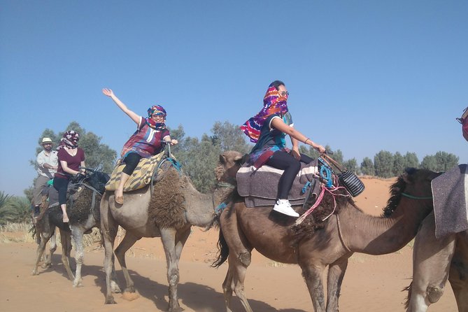 3 Days Desert tour from Fez to Marrakesh via Merzouga Erg chebbi - Price and logistics: is $174.47 a fair deal?