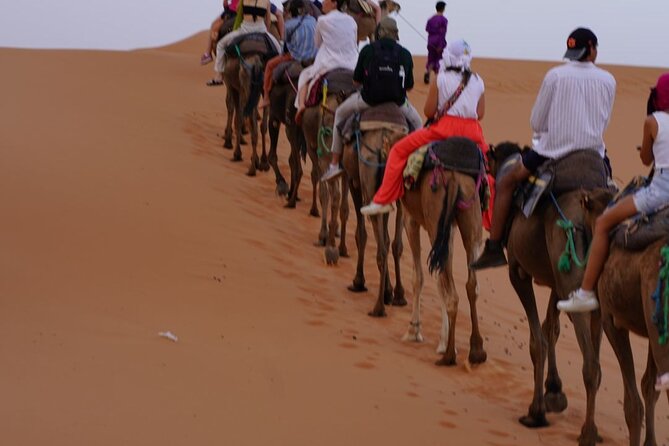 3 Days Desert Tour From Marrakech to Merzouga - Price and Value: Is $139.58 Worth It?