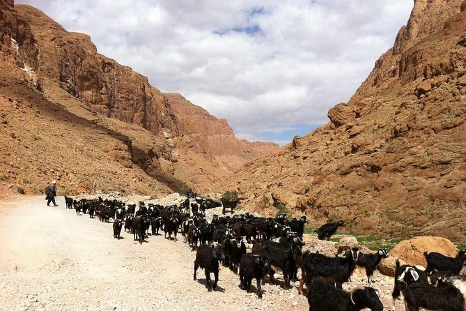 3 Days Desert Tour From Marrakech To Merzouga Désert And World Heritage Kasbah - Arriving back in Marrakech near Jemaa el-Fnaa: finish strong