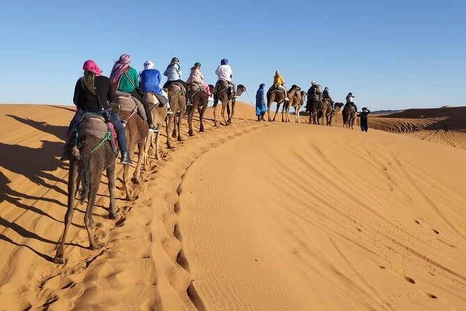 3 Days Desert Tour From Marrakech To Merzouga Dunes & Camel Trek - Desert camp night: Berber tents, drums, and real-world packing advice