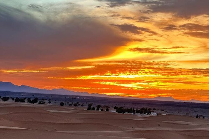 3 Days Desert Tour to Fes from Marrakech - Erfoud fossils, cedar forests, and the long road into Fes