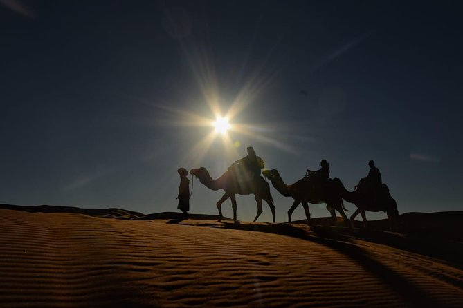 3-Days Desert Tour to Marrakech with Night in Erg Chebbi from Fes - Camel ride and camp night: what’s great, what to watch