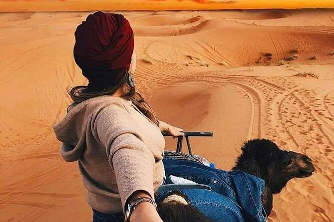3 Days Fez to Marrakech via Sahara - Entering Ifrane National Park: city stop, cedar woods, and monkeys