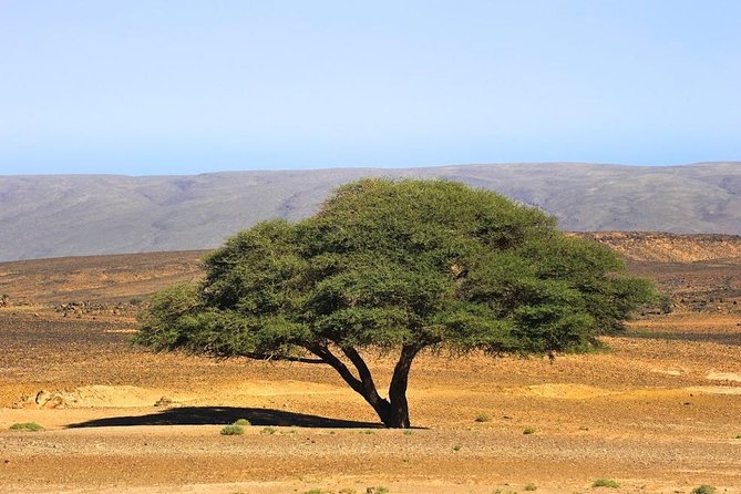 3 Days From Marrakech To Erg Chigaga - Packing Tips That Actually Help on This Route