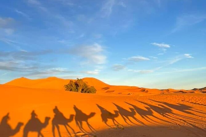 3 Days Group Tour from Marrakech to Merzouga Desert - Merzouga arrival and the camel shift: sunset is your scoreboard