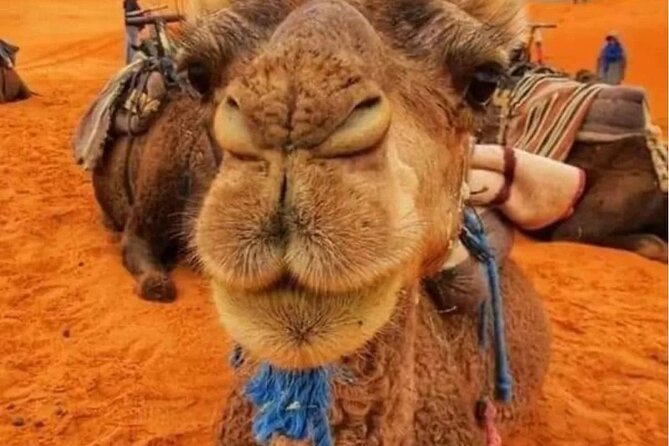 3 Days Group Tour from Marrakech to Merzouga Desert - Atlas Mountains and the Tizi n’Tichka pass: expect big scenery, and pack for comfort