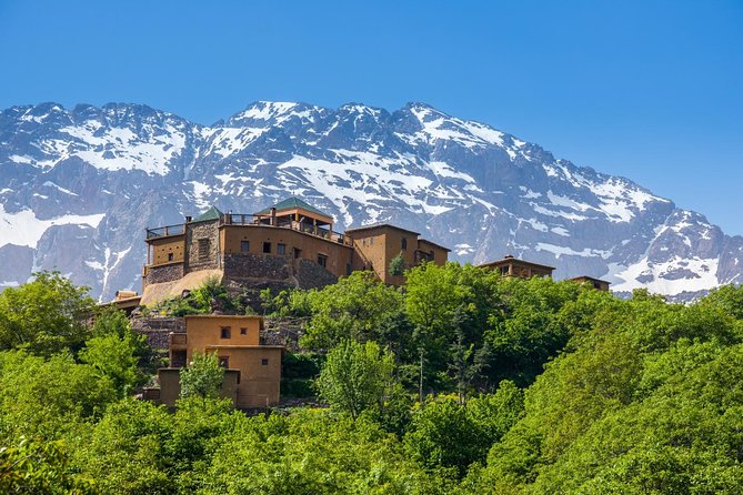 3-Days High Atlas Mountains Hiking Tour from Marrakech - The private guide setup: pace, culture talk, and why the mule matters