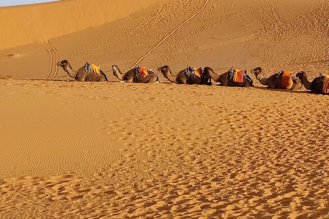 3 Days Luxury Desert Tour From Fes To Marrakech via Merzouga - Merzouga dunes: camel trekking, sandboarding, and a real desert night