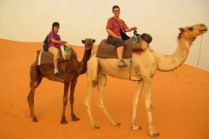 3 Days Luxury Desert Tour From Fes To Marrakech via Merzouga - Todra Gorges: the canyon that feels dramatic even in daylight