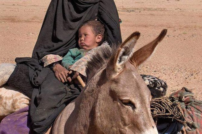 3 Days Marrakech To Fes Desert Tour Via Merzouga - Tinghir Oasis and Todgha Gorge: the walking stop that keeps the trip human