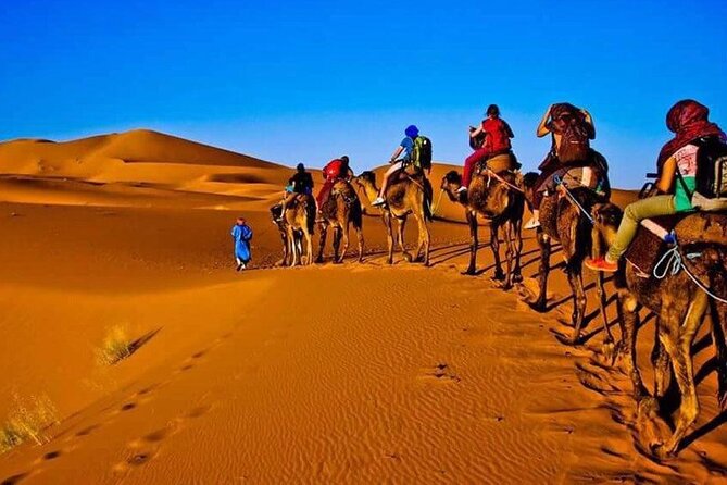 3 Days Merzouga Desert Shared Trip - Quick highlights you will care about