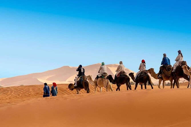 3 Days Merzouga Sahara Tour & Camel Trek - How Drivers and Communication Shape the Experience