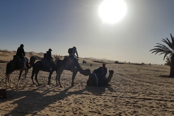 3 Days Private Desert Tour From Fez To Marrakech - Day 3: Roses Valley, Skoura villages, Ouarzazate, Ait Ben Haddou, then High Atlas to Marrakech