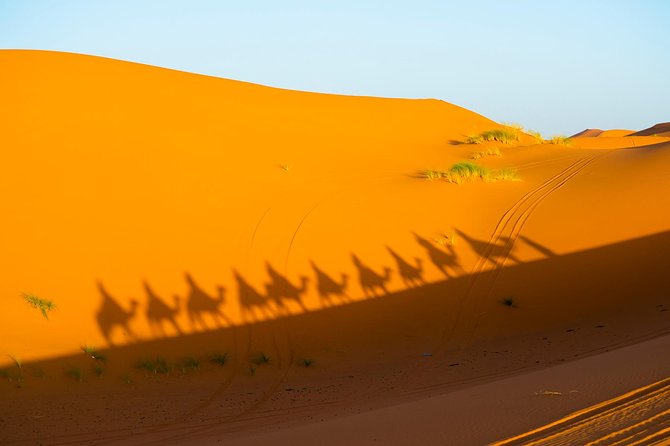 3-Days Private Tour from Marrakech to Fez through Merzouga Desert - Price and Logistics: What $801.40 Covers, and What You’ll Still Need to Plan