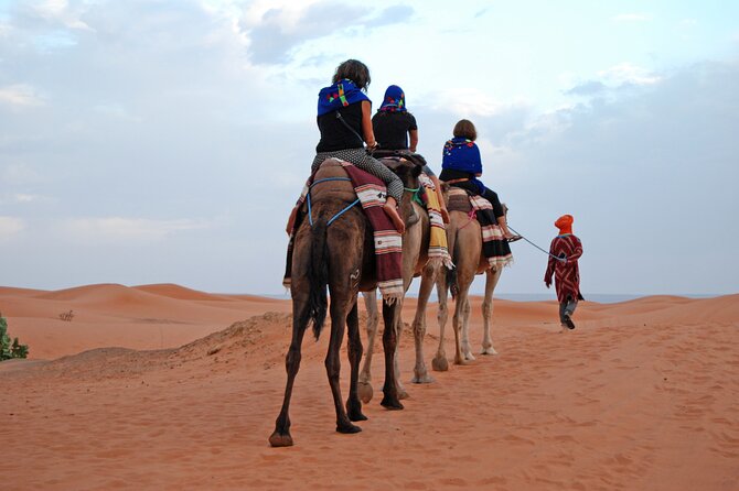 3 Days Private Tour to Merzouga Desert from Marrakech - Day 1 stop strategy: what to do at Ait Ben Haddou and Dades Gorges