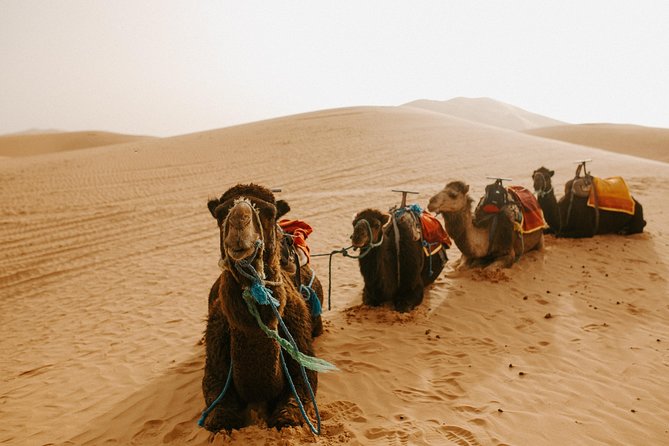 3-Days Sahara Desert Tour from Fez to Marrakech - Weather, heat, and packing for the dunes and the Atlas