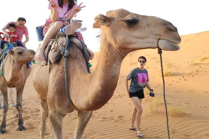 3 Days Sahara tour from Marrakesh - How This Marrakech to Fes Route Really Feels