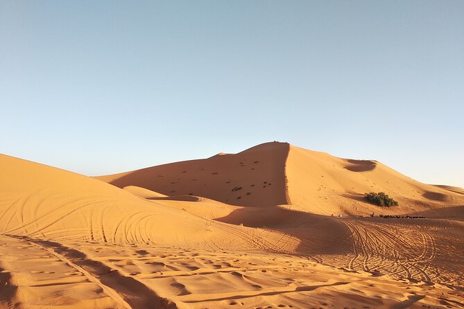 3 Days Sahara tour from Marrakesh - Overnight Desert Camp: Meals, Rest, and Star-Time Expectations