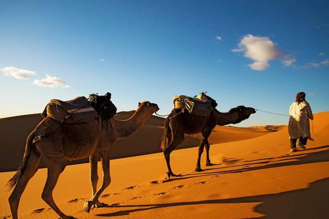 3-days shared Merzouga desert tour from Marrakech - What this 3-day Merzouga trip is really like