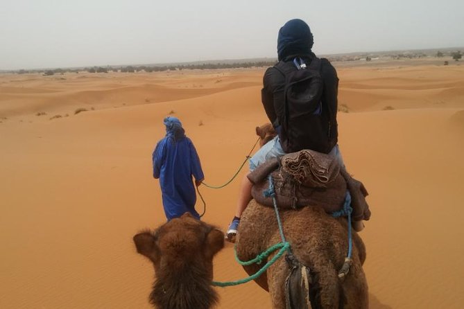 3-days shared Merzouga desert tour from Marrakech - Price and value: is $116 per person a smart deal?