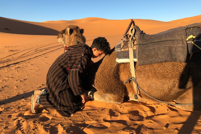 3 Days Shared Sahara Desert Tour From Marrakech - Ouarzazate and Kasbah Country on the Road of a Thousand Kasbahs