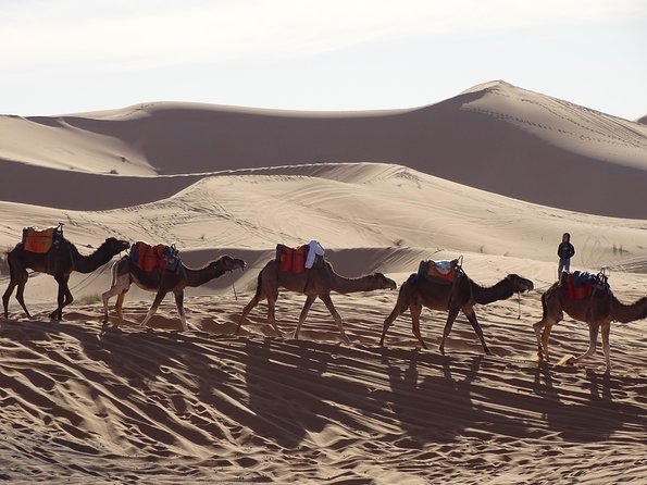 3 days tour from Marrakech to Merzouga - Air-Conditioned 4WD and Driver-Guide Care: The Comfort Advantage on a Big Route