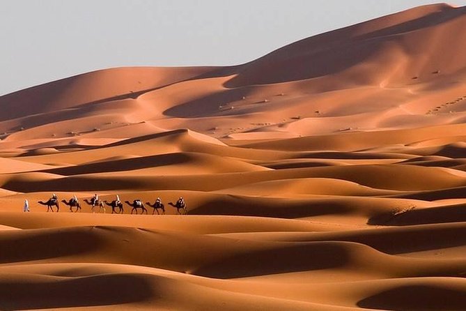 3 days tour from Marrakech to Merzouga desert - Day 2: Todra Gorge and Tinghir palms, then fossils and Erg Chebbi dunes