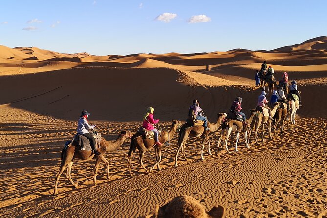 3 Days Tour From Marrakech To Sahara Desert Of Merzouga - Who should book this Marrakech to Merzouga desert tour