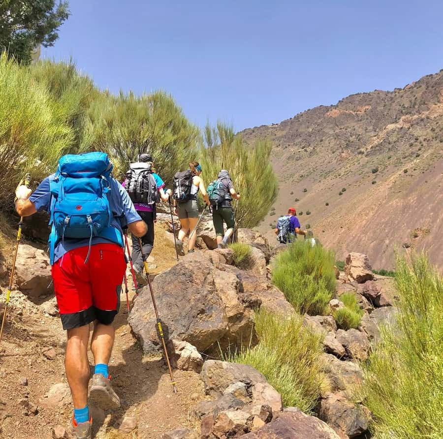 3 Days Trek Atlas Mountains Berber Villages from Marrakech - Day 2: Tizi Mazik, Tamsoult Waterfalls, and the 2,500 m Pass Feeling