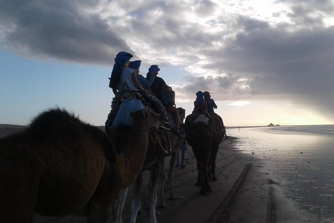 3-hour camel ride at sunset - Riding camels or horses at dusk, comfort and real expectations