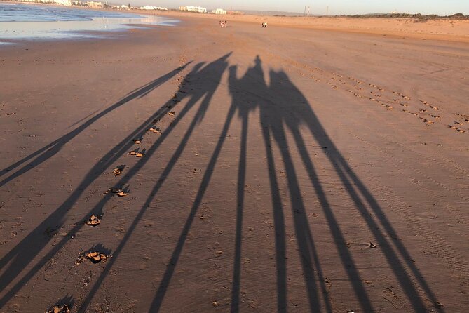 3-hour camel ride at sunset - The coast walk toward Diabat, ruins you can actually spot