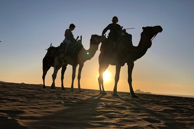 3-hour camel ride at sunset - The Jimmy Hendrix cafe tea stop, a break that makes the ride better