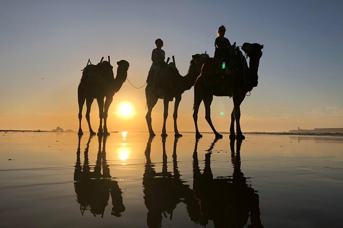 3-hour camel ride at sunset - Private group feel, plus the pickup that actually helps