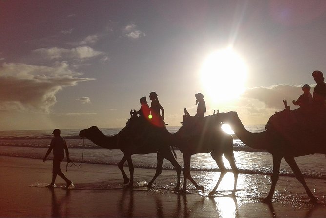 3-hour camel ride at sunset - Plage Tagharte start, that first hit of salt air
