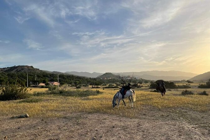 3-hour Horseback Ride Mountain and Beach Morocco - Price and value: why $68.53 can make sense for what you get