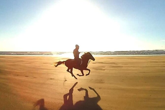 3-hour Horseback Ride Mountain and Beach Morocco - Who this ride is best for (and who should pick another option)