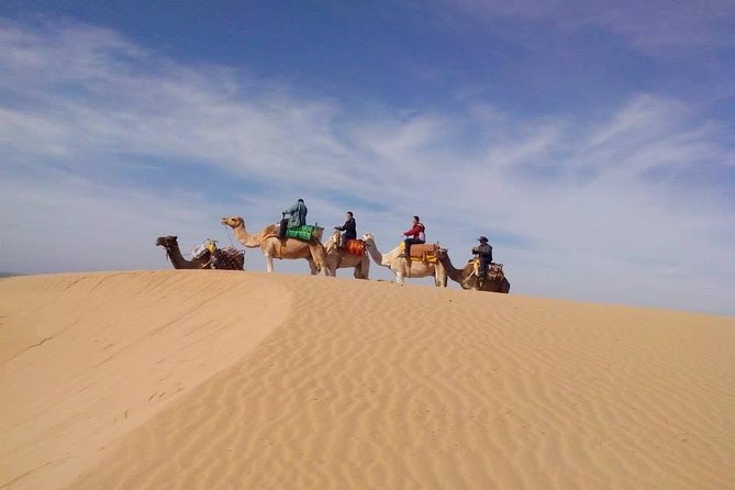 3 hours Camel Ride in Essaouira, beach and dunes - Key things you’ll notice on this camel ride in Essaouira