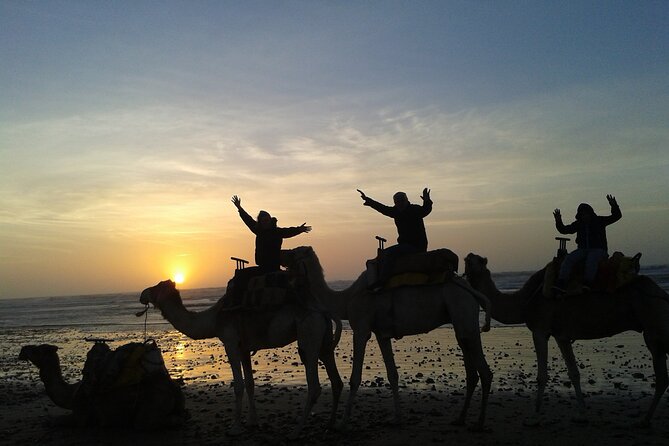 3 hours Camel Ride in Essaouira, beach and dunes - Ruins of Sultan Palace and Portuguese Castle: why these first stops feel worth it