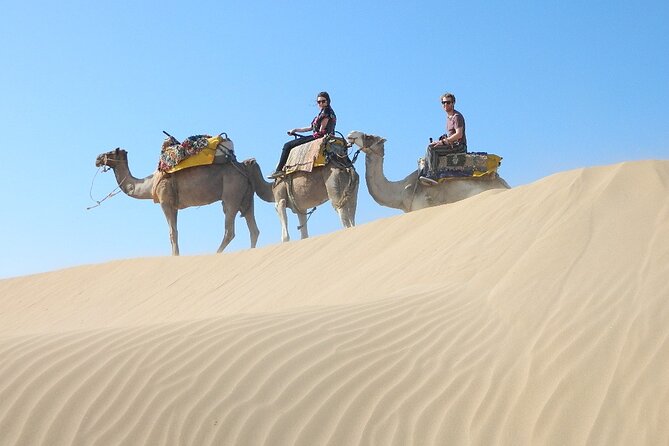 3 hours Camel Ride in Essaouira, beach and dunes - The 3-hour dromedary ride: what the beach and dunes section really is