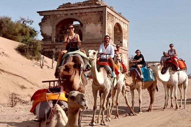 3 hours Camel Ride in Essaouira, beach and dunes - Photo stops and guide help: how to get great group pictures