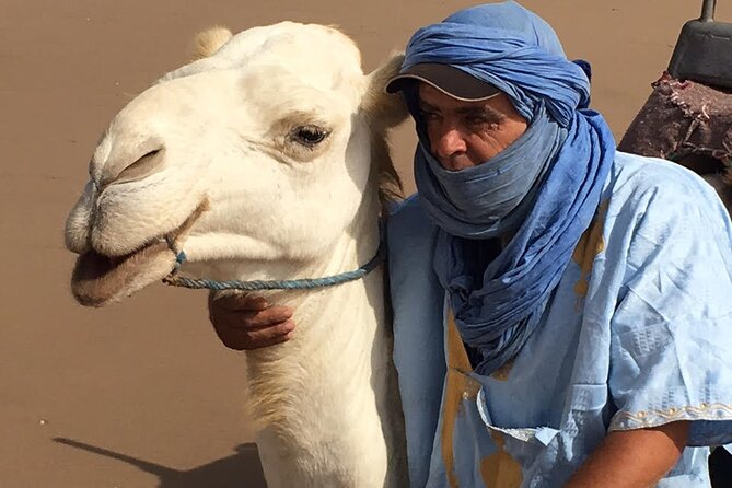 3 hours Camel Ride in Essaouira, beach and dunes - Comfort tips for sand, wind, and the camel itself