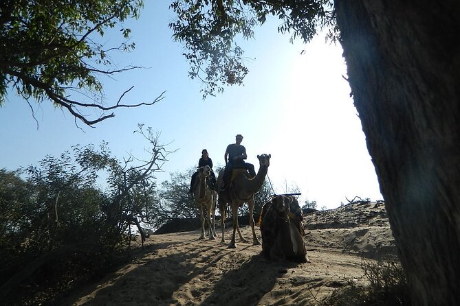 3 hours Camel Ride in Essaouira, beach and dunes - Price and value: is $75.60 fair for a 3-hour camel ride?