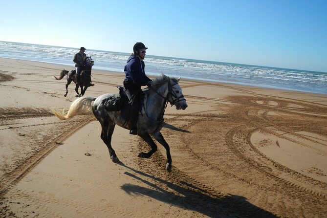 3 hours horse riding in Essaouira, beach, forest and dunes - Pickup, timing, and where to meet in Essaouira