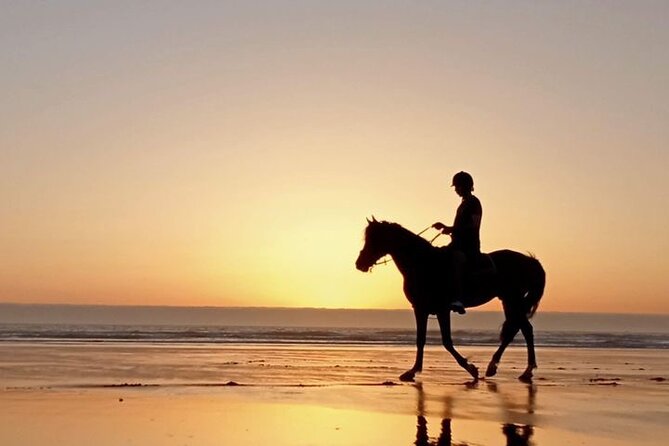 3 hours horse riding in Essaouira, beach, forest and dunes - Price and value: what $75.49 really covers