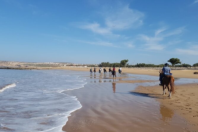 3 hours horse riding in Essaouira, beach, forest and dunes - Who this ride is for, and who should rethink it