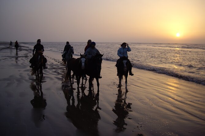 3 hours horse riding in Essaouira, beach, forest and dunes - Should you book the 3-hour Essaouira beach and dunes horseback ride?