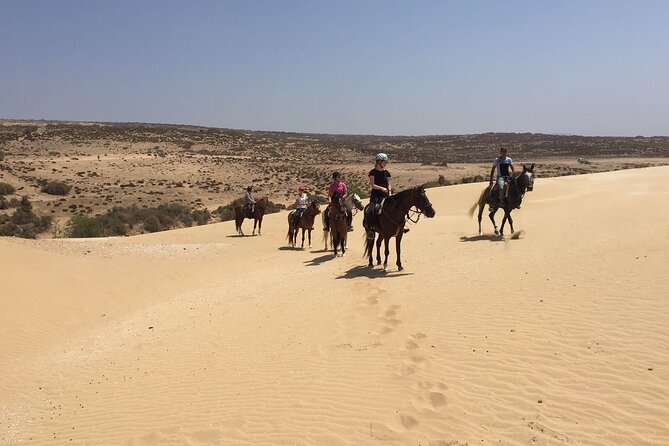 3 hours horse riding in Essaouira, beach, forest and dunes - The 3-hour route: from beach, to dunes, to eucalyptus return