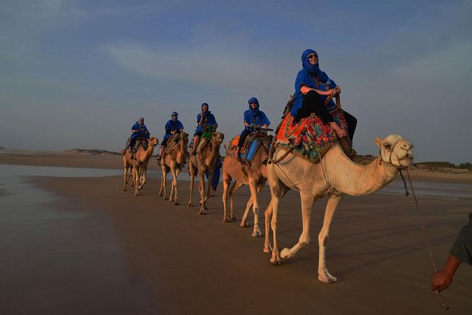 3 hours ride on camel at sunset - Getting set at Bab Sba, pickup, and the 3-hour rhythm