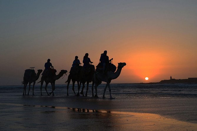 3 hours ride on camel at sunset - Diabat village and ruins: walking the route beyond photos