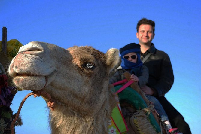 3 hours ride on camel at sunset - What I think you’re paying for at $52.14